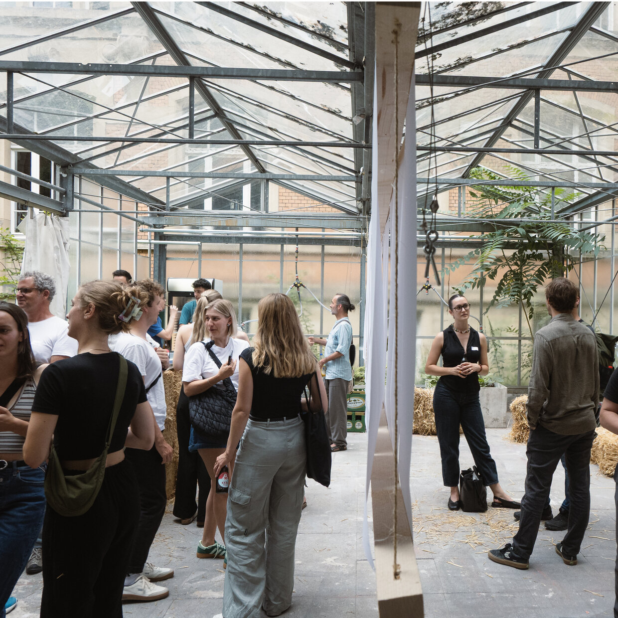 Benjamin Stöhrer Menschen unterhalten sich in einem lichtdurchfluteten Gewächshaus mit grünen Pflanzen.